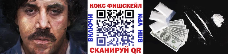 маркетплейс как зайти  Зеленодольск  Кокаин FishScale 