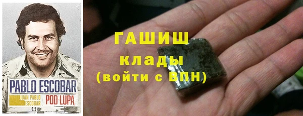 прущие грибы Елабуга