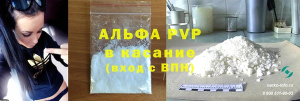 прущие грибы Елабуга