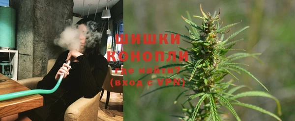 прущие грибы Елабуга