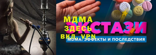 прущие грибы Елабуга