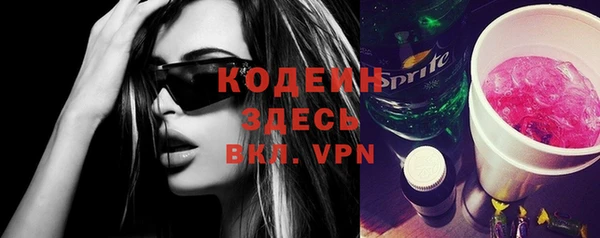 прущие грибы Елабуга