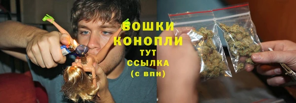 прущие крисы Елизово