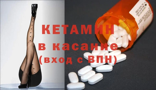 прущие грибы Елабуга