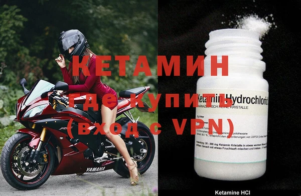 прущие грибы Елабуга