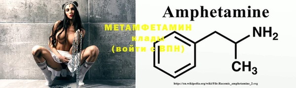 прущие грибы Елабуга