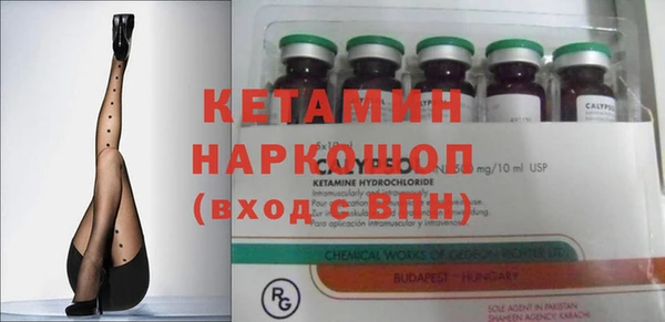 прущие грибы Елабуга