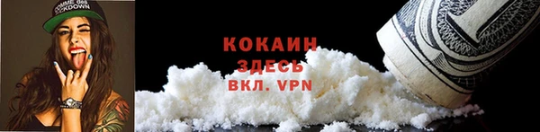 прущие грибы Елабуга
