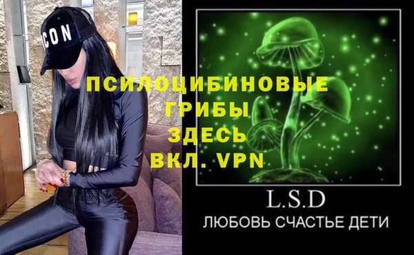 прущие крисы Елизово