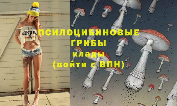 прущие грибы Елабуга