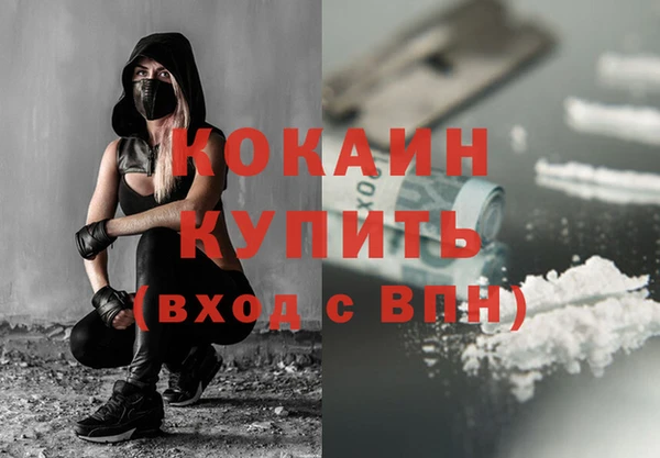 прущие грибы Елабуга