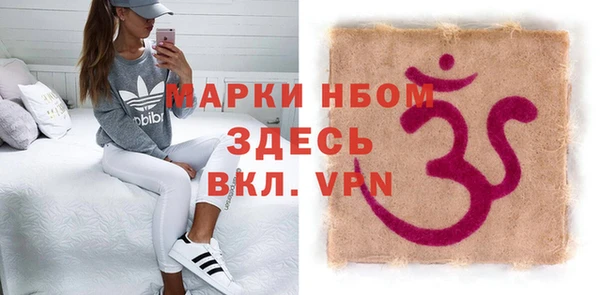 прущие грибы Елабуга