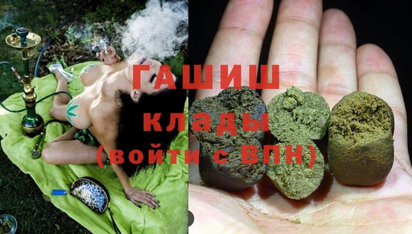 прущие грибы Елабуга