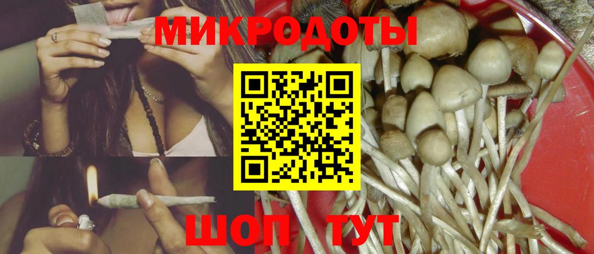 Зеленодольск  Псилоцибиновые грибы Cubensis  Вход с VPN  Псилоцибиновые грибы Psilocybe 